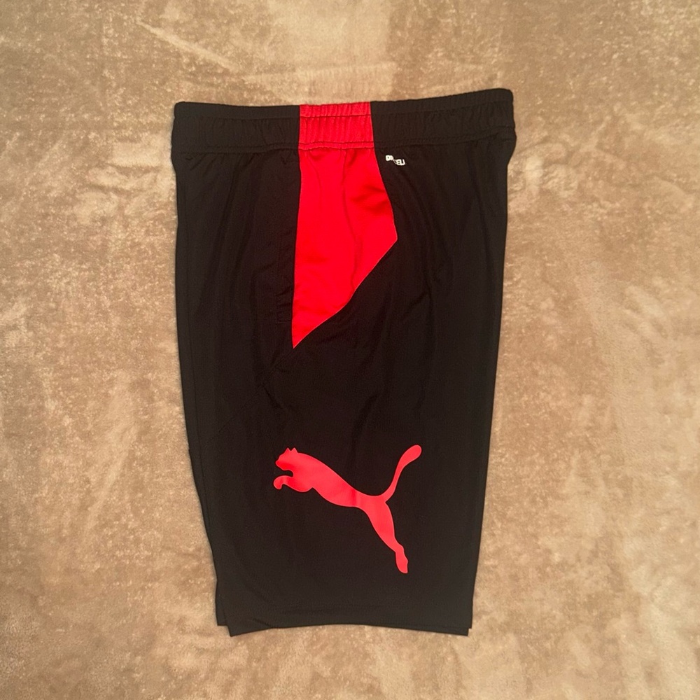 PUMA BIG CAT Knitted Shorts